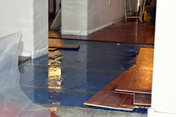 Professional Basement Flood Cleanup technician working in Jeffersonville, IN